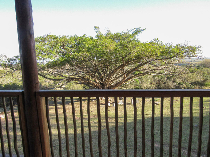 Scenery 7