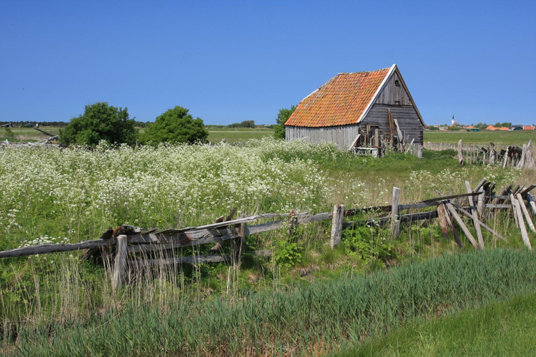 Others 3, 't lant van Texsel, Texel