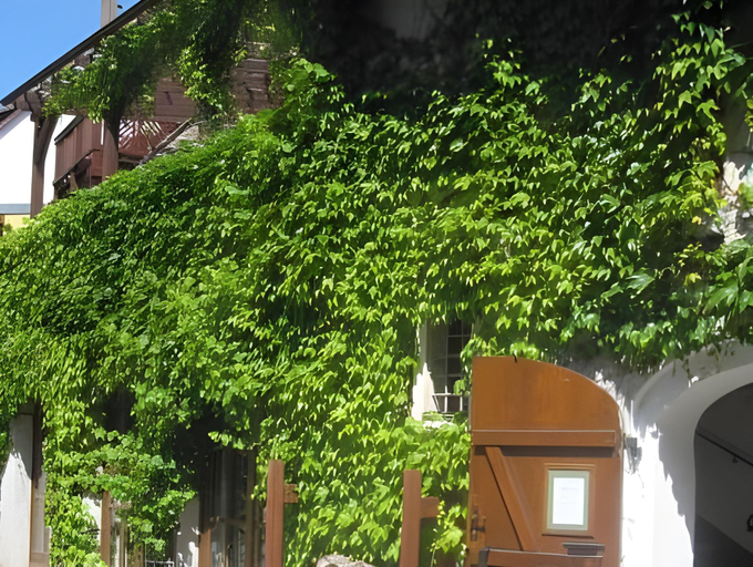 Others 4, Schloss-Schanke garni, Bautzen