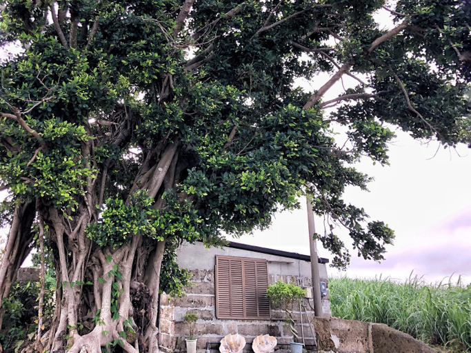 Villa Gazamani Aug,2019 Open!! For only one group a day, Yaese