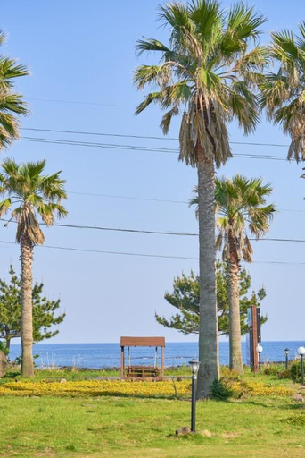 Others 5, Seogwipo 445 The Palms Pension, Seogwipo