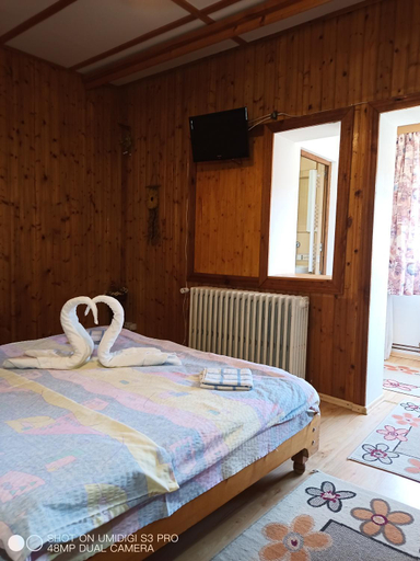 Others 4, Casa Rodica str. Clabucetului 28, Busteni