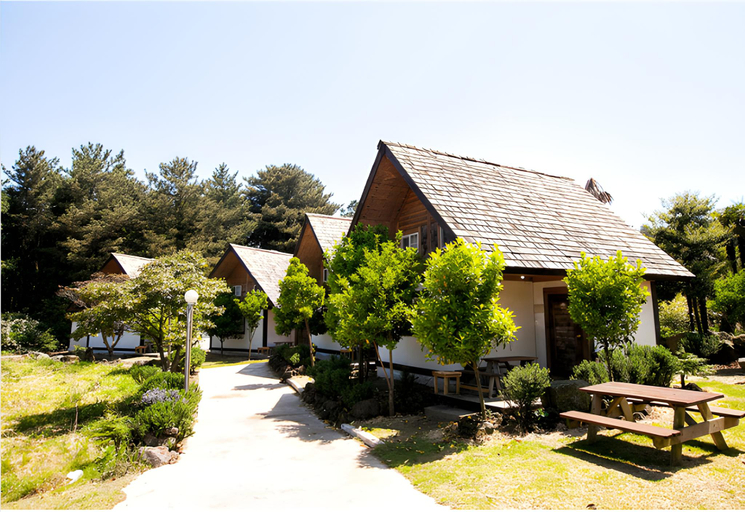 Public Area, Log Park Holiday Hotel, Jeju