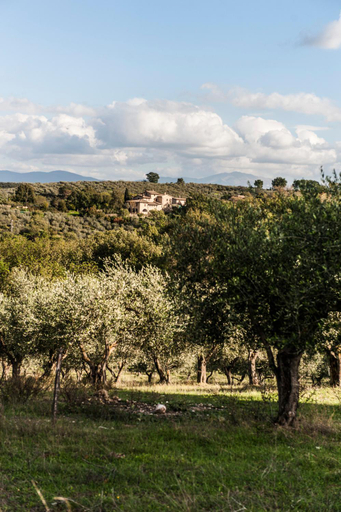 Others 5, Tenuta San Felice, Perugia