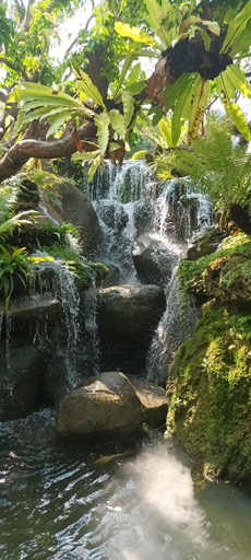 Others 5, The Triple M Mountain Resort, Suan Phung
