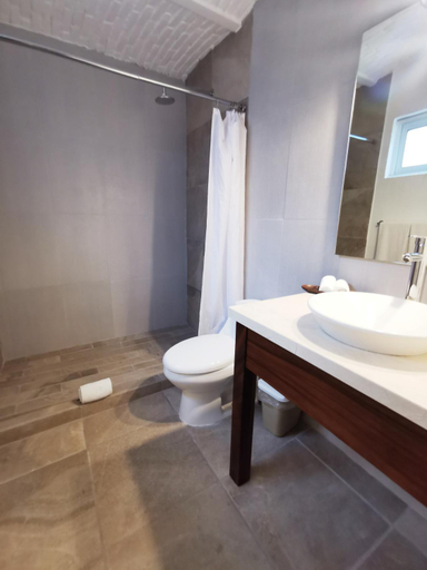 Bathroom 4, Plaza Chapala Hotel, Chapala