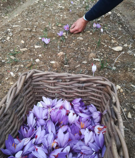 Agriturismo Selvella, Terni