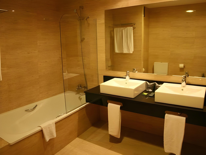 Bathroom 5, Royal Al-Andalus, Málaga