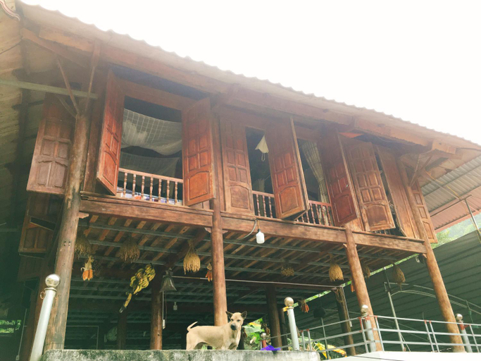 Others 2, Shan Tea Homestay, Hà Giang