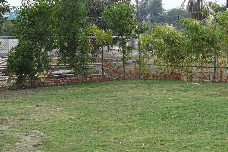 Others 5, The Byke Business - Chandigarh House, Bhopal