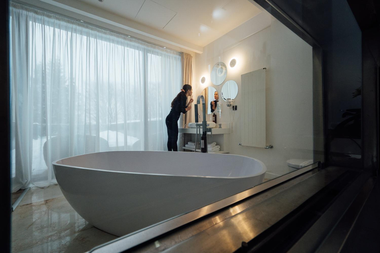 Bathroom 5, Fabesca Boutique Hotel & SPA, Sovata