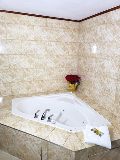 Bathroom 4, Regency Inn & Suites, Stormont, Dundas and Glengarry