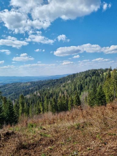Others 5, Noclegi w gorcach, Nowy Targ