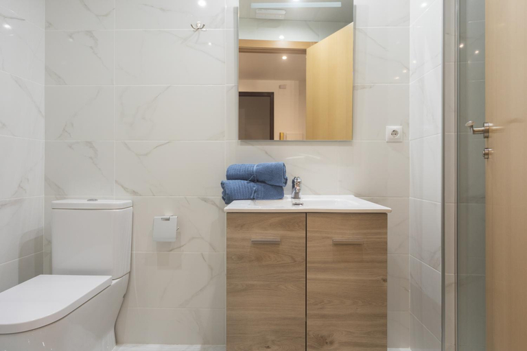 Bathroom 2, Exclusivos Lofts en Plaza del Ayuntamiento, Valencia