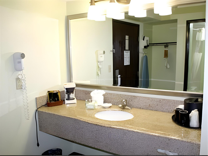 Bathroom 4, Alexis Inn and Suites Hotel, Davidson