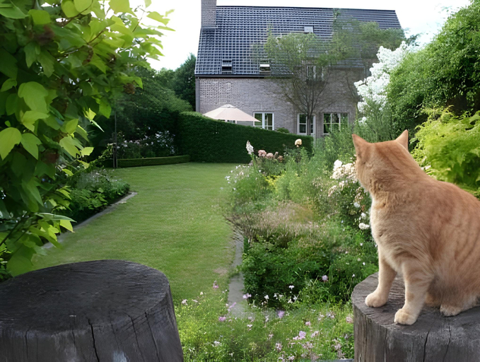 Others 3, B&B La Cle du Sud, Oost-Vlaanderen