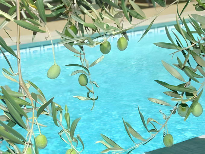 Sport & Beauty 5, Hotel du Soleil et Spa, Bouches-du-Rhône