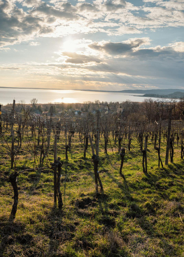 Others 3, Domaine Edegger - Organic Winery Badacsony, Tapolca