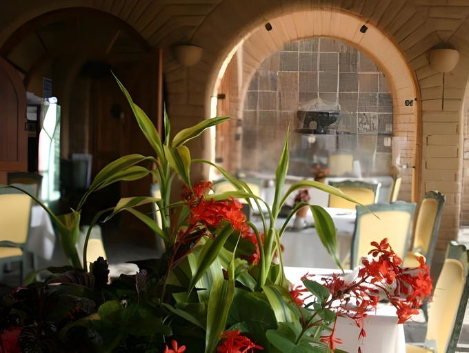 Food & Drinks 4, Mision del Sol, Cuernavaca