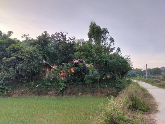 Scenery 8