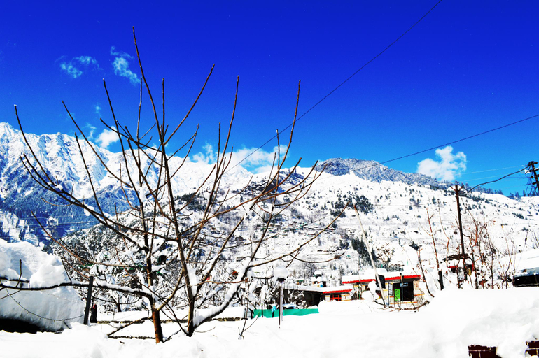 Others 5, Manali Outdoor Retreat by Sheosante, Kullu