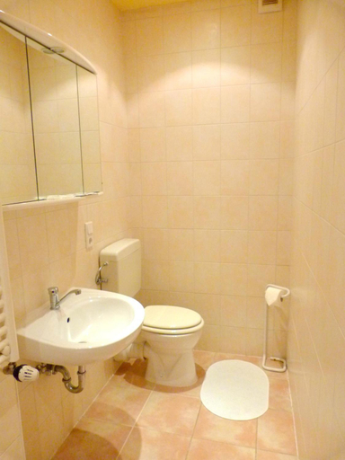 Bathroom 3, Hotel Krone, Vogelsbergkreis