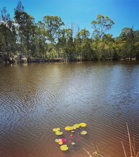 Others 5, Copper Creek Retreat , Cessnock