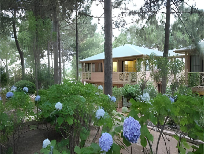 Others 2, Residence Les Pins, Haute-Corse