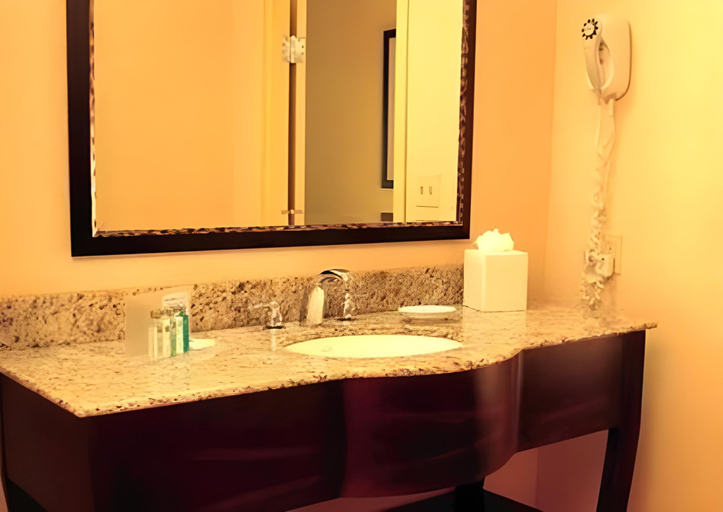 Bathroom 3, Hampton Inn Snyder TX, Scurry