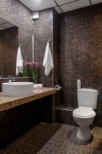 Bathroom 4, Kaliakra Palace, Varna