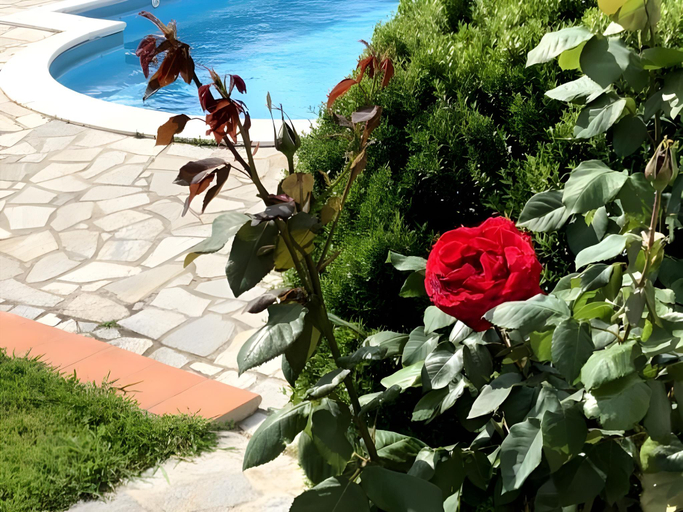 Others 4, RosMarino Bed & Breakfast, Savona