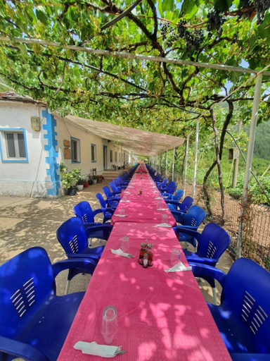 Food & Drinks, 5 Stinet, Pukës