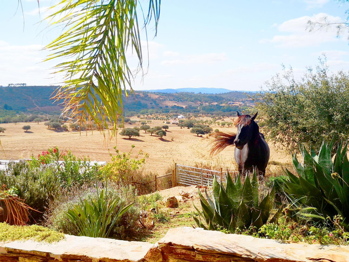 Others 5, Sharish - Monte Das Estevas, Estremoz