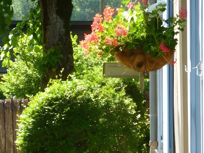 Others 5, Papilio, Haute-Garonne