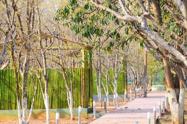 Others 5, Matoshree green stay sariska, Alwar