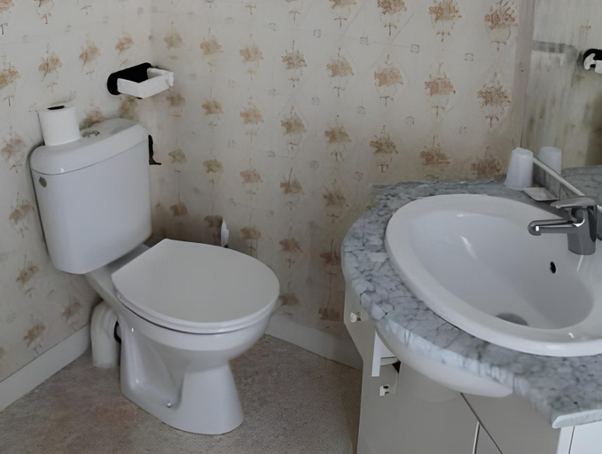 Bathroom 4, Logis Hotel Beausejour, Vienne