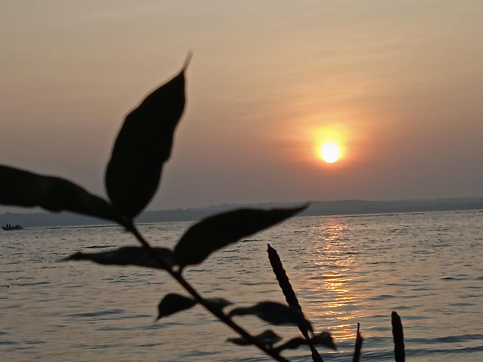 Others 2, Rangani Lagoon Resort, Kalpitiya