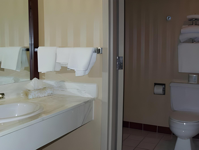 Bathroom 4, Sinbads Hotel & Suites, Division No. 6