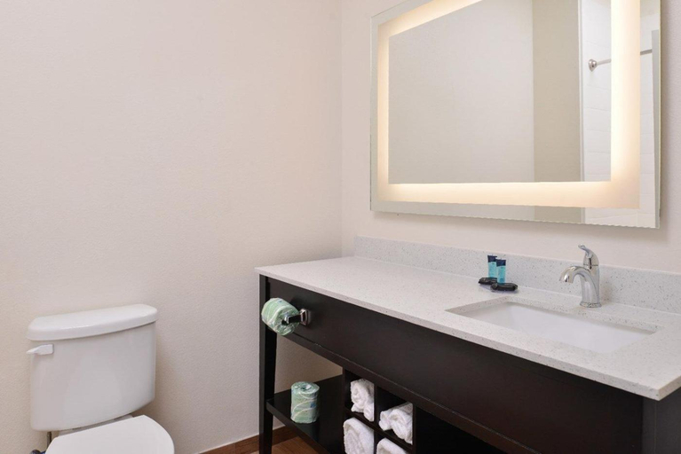 Bathroom, Crystal Inn & Suites IAH Humble, Houston