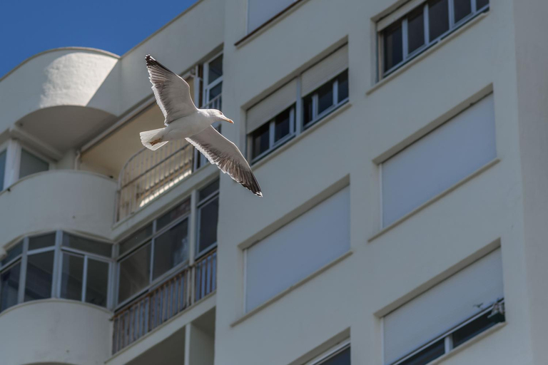 Exterior 15