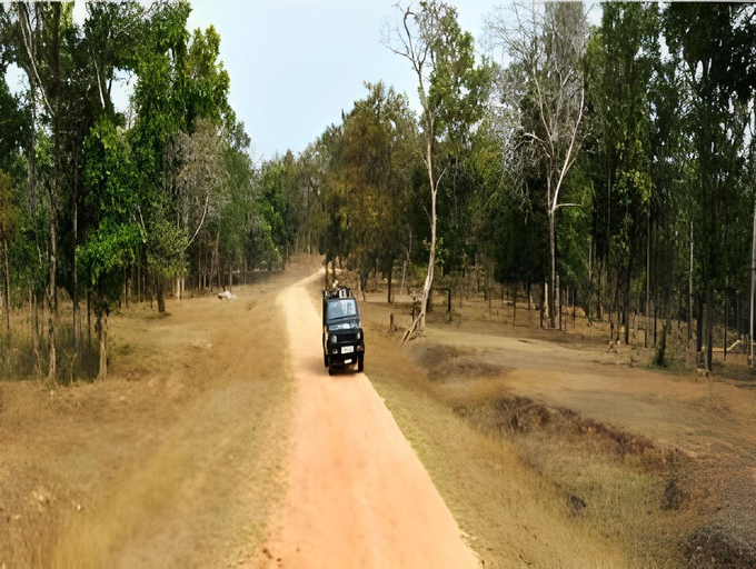 Others 5, The Riverwood Forest Retreats Pench, Seoni