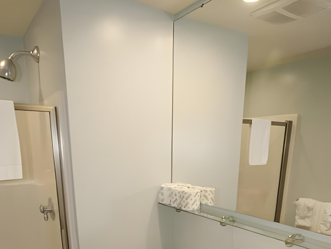 Bathroom 3, Expedition Station Trail Resort Ski-in-Ski-out, Pocahontas