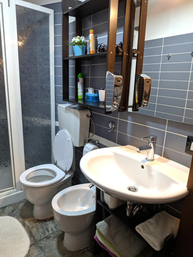 Bathroom 2, Gina B&B, Rome