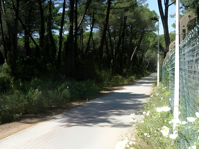 Surrounding environment 4, Mareblue, Grosseto