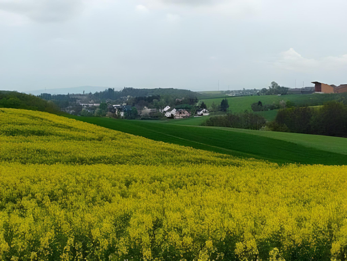 Others 5, gemutliche Ferienwohnung in Kaifenheim, Cochem-Zell