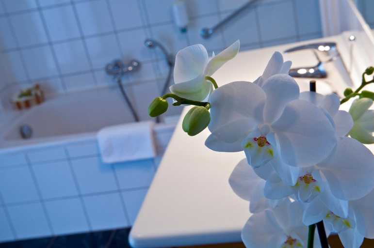 Bathroom, Cocoon Hotel Belair, Diekirch