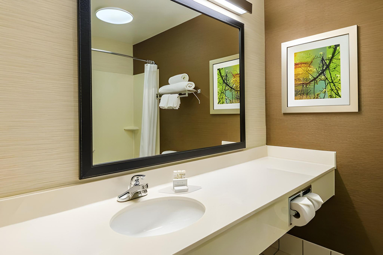 Bathroom 4, Hotel Luna, Albany