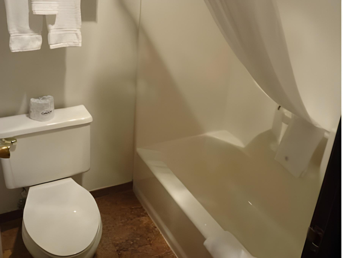 Bathroom 4, King's Inn, Park