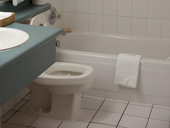 Bathroom 3, Westlock Inn & Conference Centre, Division No. 13