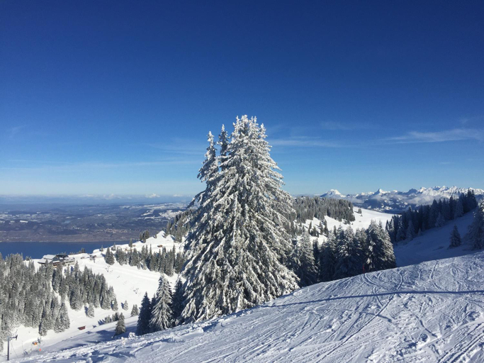 Others 4, le montanet, Haute-Savoie